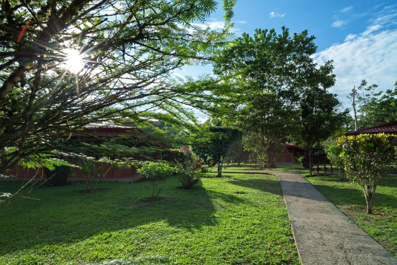 Natural Lodge Cano Negro Bagian luar foto