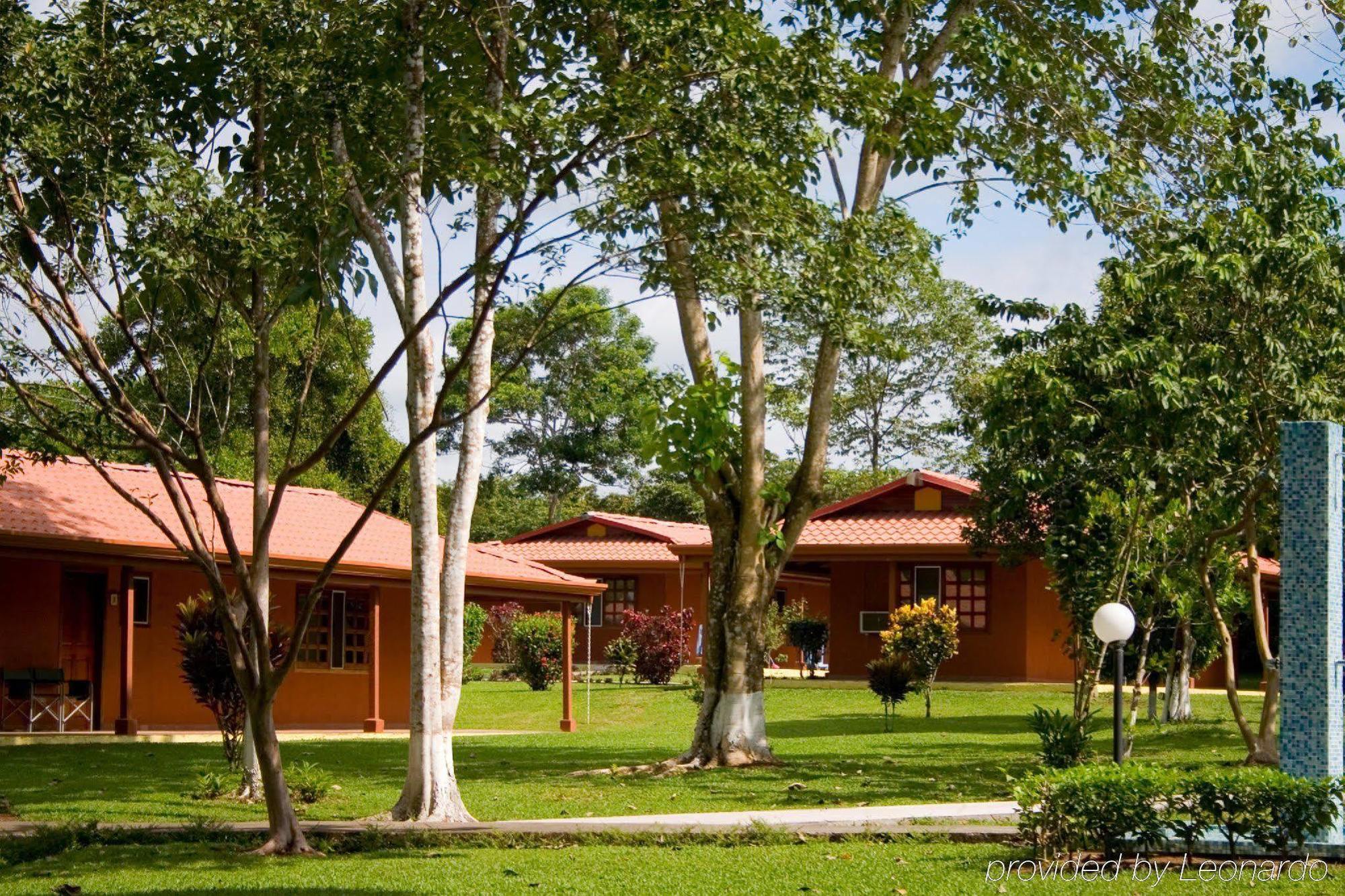 Natural Lodge Cano Negro Bagian luar foto