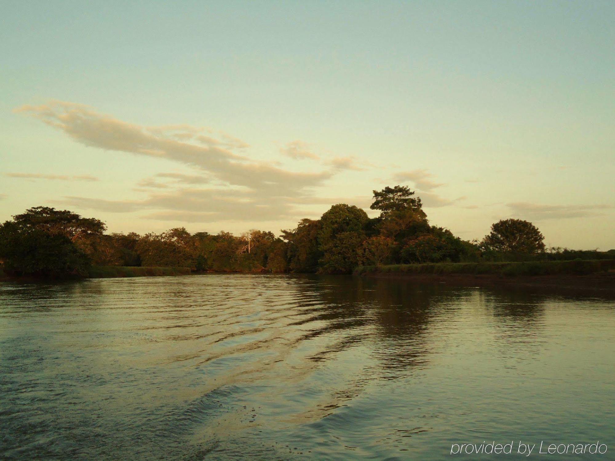 Natural Lodge Cano Negro Bagian luar foto